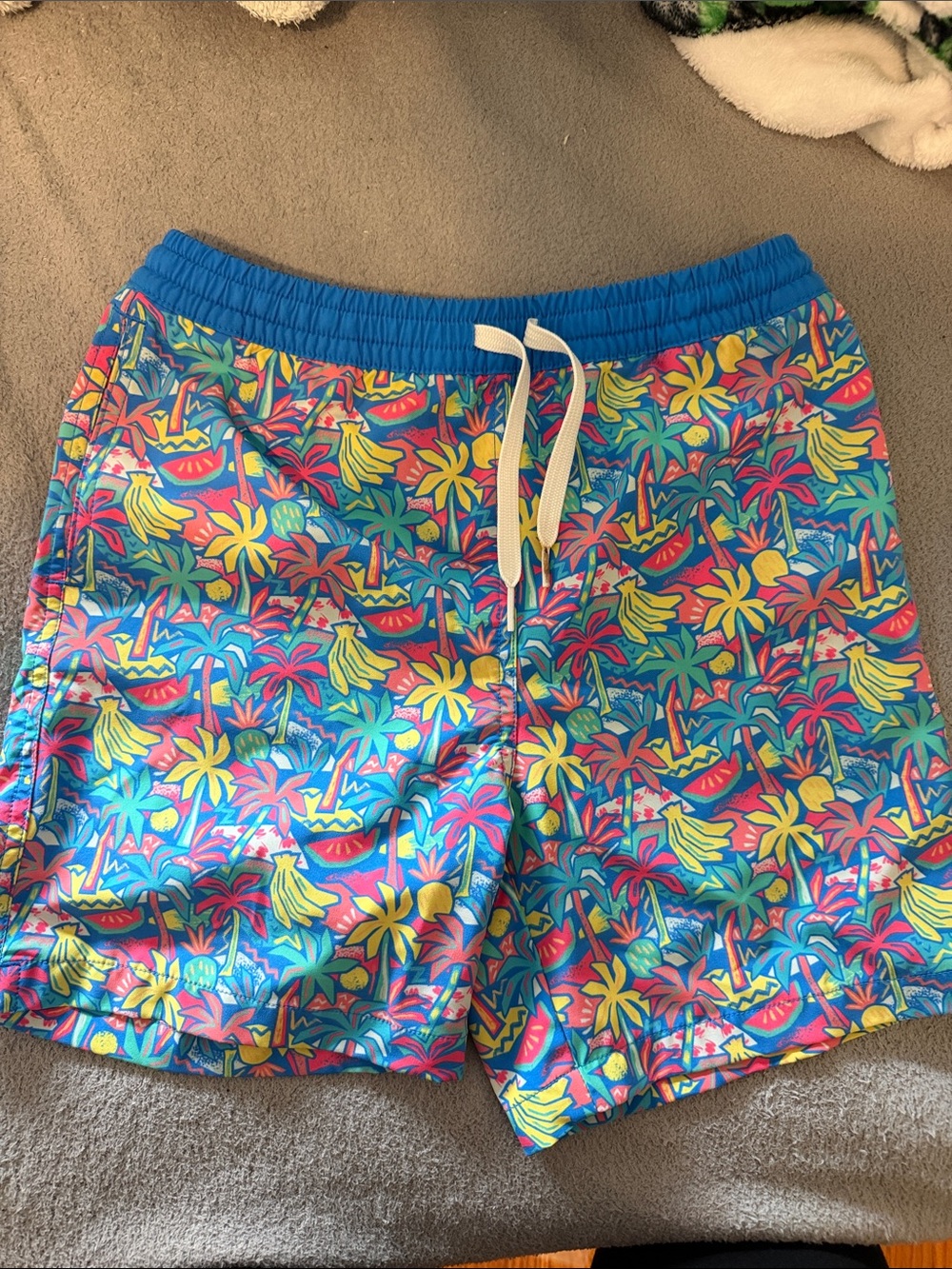chubbies Kids Swim Trunks - Blue, Yellow, Pink, Green